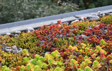 the cost of Woodnook green roof installation