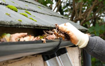 gutter cleaning Woodnook